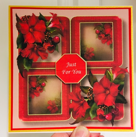 Floral Quad Frame - Crimson Mandevilla by Jane Amber