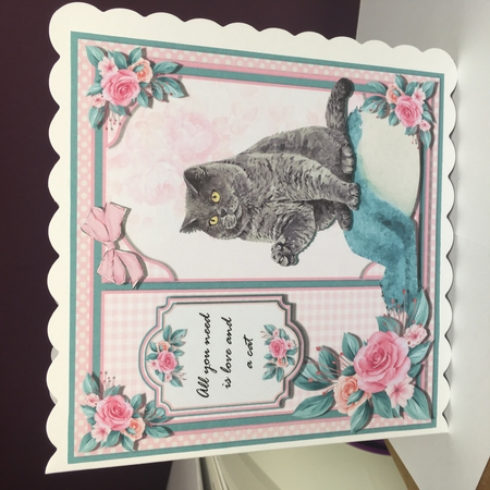 Cat Loving Two  by Jane Amber