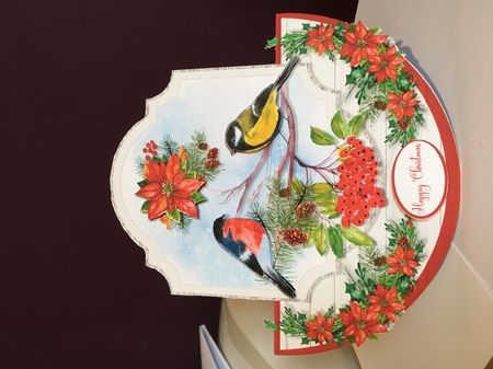 WINTER BIRDS rocker card by Jane Amber