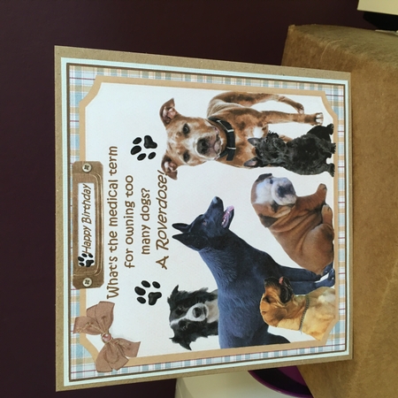 7x7 Too many dogs insert by Jane Amber
