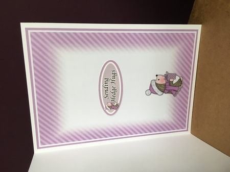 Hedgy With Gift A5 2 Mini Kit by Jane Amber