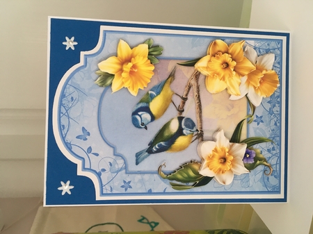 Beautiful Blue Tits - Shaped Card Front with Step-by-Step by Jane Amber
