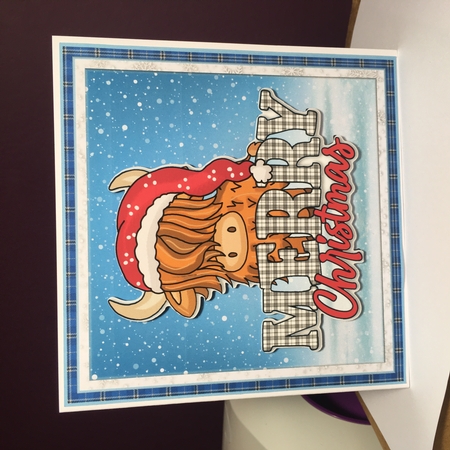 CHRISTMAS COO 3 by Jane Amber