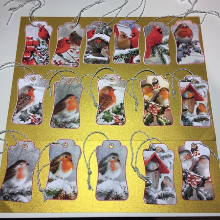 Winter Birds Gift Tag Collection  by Jane Amber