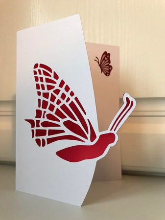 Over the Edge Butterfly Craft Pattern by Jane Amber