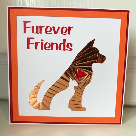 Best Friends by Jane Amber