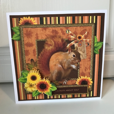 I'm Nuts About You by Jane Amber