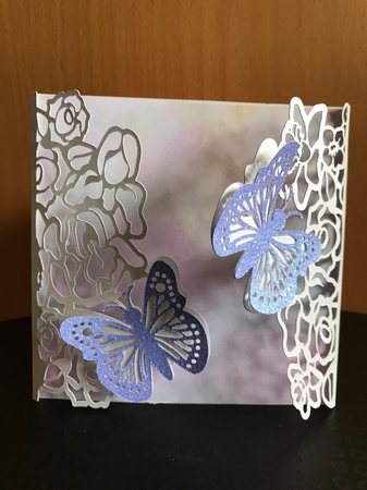 Flowers and Butterflies by Jane Amber