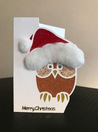 OVER THE EDGE CHRISTMAS OWL by Jane Amber