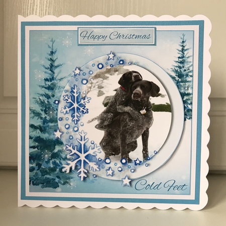 Doggie Cold Feet Happy Christmas, Happy Holidays, Pawtastic Christmas by Jane Amber
