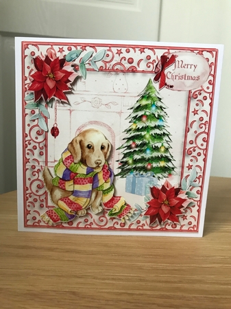 Cosy at Home  by Jane Amber