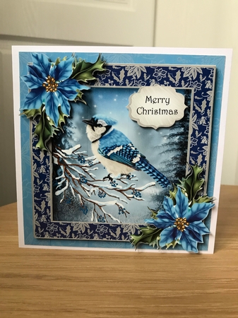 The Blue Bird In Winter by Jane Amber