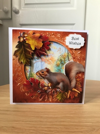 The Autumn Squirrel by Jane Amber