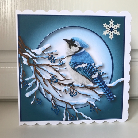 The Winter Bird by Jane Amber