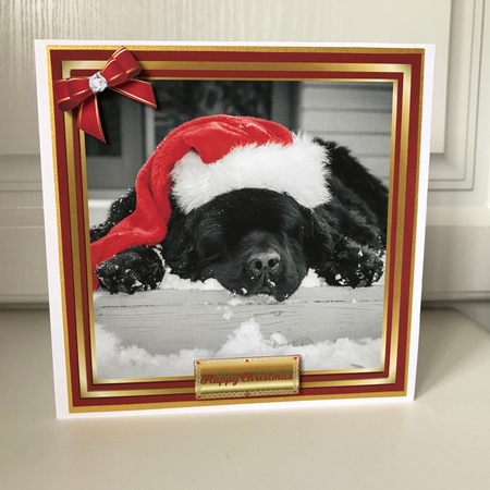 SLEEPING DOG AT CHRISTMASTIME by Jane Amber