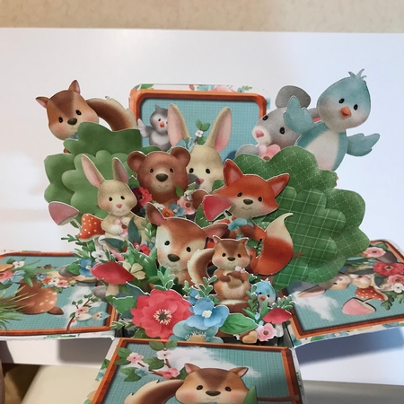 3D POP BOX CARD KIT - FOREST FRIENDS by Jane Amber