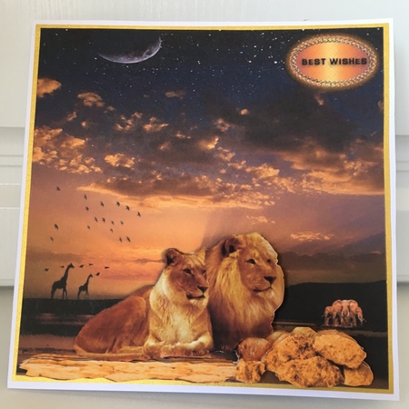lions by Jane Amber