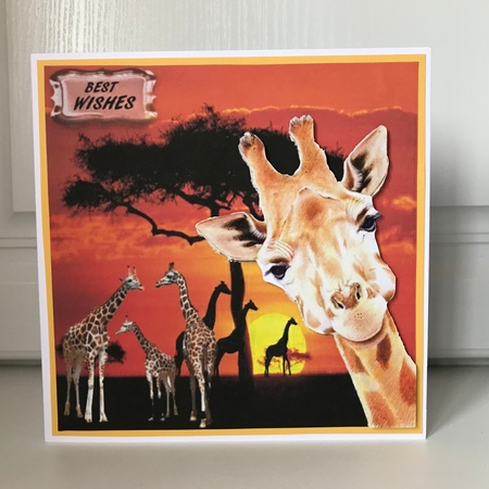 giraffe by Jane Amber