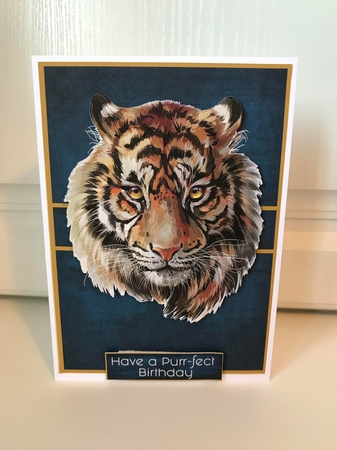 Tiger Tiger by Jane Amber