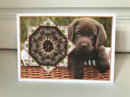 JJ LABRADOR PUPPY A6 TEA BAG CARD by Jane Amber