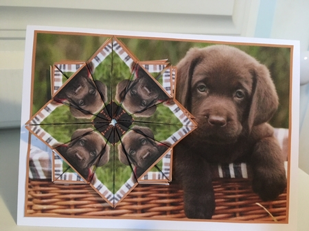 JJ LABRADOR PUPPY A6 TEA BAG CARD by Jane Amber