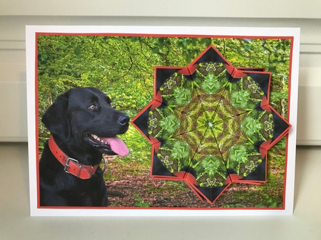 JJ LABRADOR 2 A6 TEA BAG CARD by Jane Amber