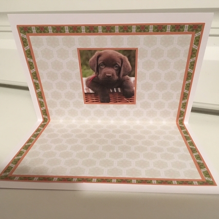 JJ LABRADOR PUPPY A6 TEA BAG CARD INSERTS by Jane Amber
