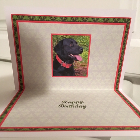 JJ LABRADOR 2 A6 TEA BAG CARD INSERTS by Jane Amber