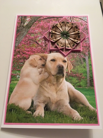JJ LABRADOR 5X7 TEA BAG CARD Featured Gallery Photo