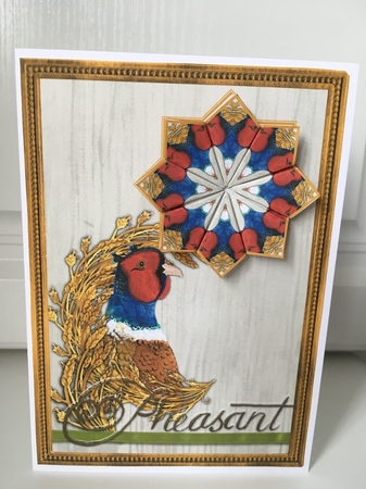 JJ COUNTRY CAPERS PHEASANT 5X7 TEA BAG CARD by Jane Amber