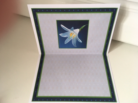 JJ MADONNA LILY TEA BAG A6 CARD INSERTS by Jane Amber