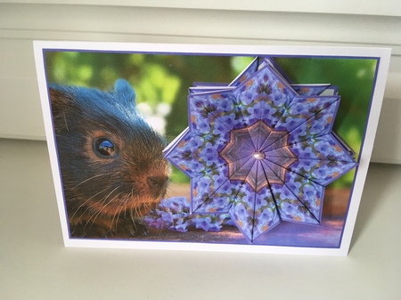 JJ GUINEA PIG A6 TEA BAG CARD by Jane Amber