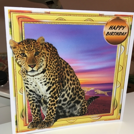 big cats by Jane Amber