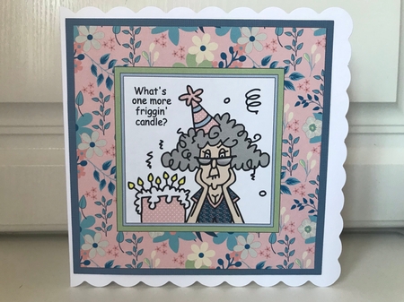 Stella - Getting older is like visiting an all you can eat buffet (Topper plus insert) by Jane Amber