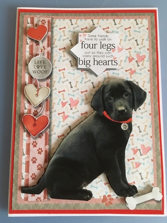 Dogs Have Big Hearts2 by Jane Amber