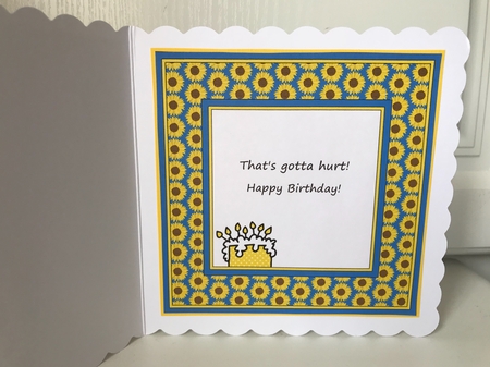 Stella - Youre how old?  (Sunflower print topper plus insert) by Jane Amber