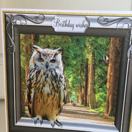 its a hoot by Jane Amber