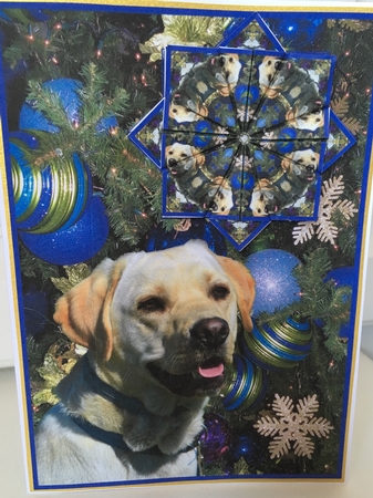 JJ LABRADOR 1 CHRISTMAS 7X5 TEA BAG CARD by Jane Amber