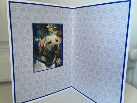  JJ LABRADOR 1 CHRISTMAS 7X5 INSERT by Jane Amber