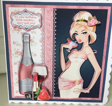DRINK SENSIBLY DONT SPILL ANY Humorous 7.5 Decoupage & Insert Mini Kit by Jane Amber
