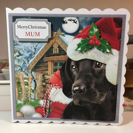 Waiting for Santa Paws by Jane Amber