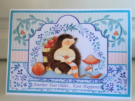 HUMOROUS HEDGEHOG KNITTING A5 Card Topper Decoupage & Insert Mini Kit by Jane Amber