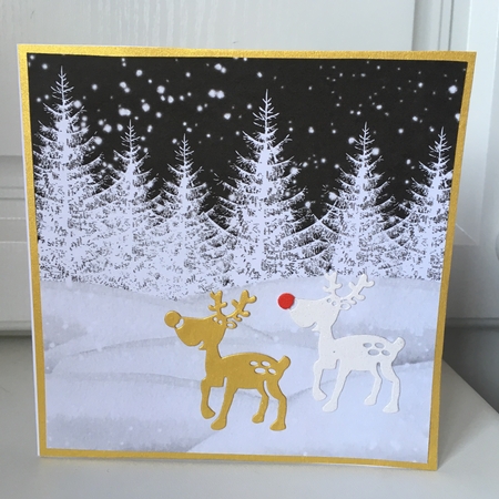 Winter Wonderland 1 by Jane Amber