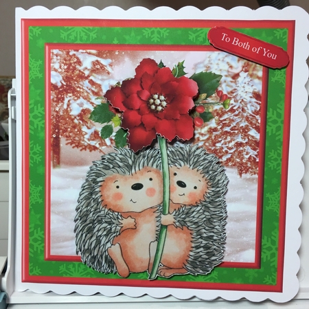 Sweet hedgehogs & poinsettia christmas mini kit & decoupage by Jane Amber