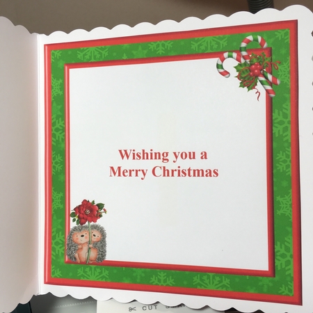 Sweet hedgehogs & poinsettia christmas mini kit & decoupage by Jane Amber
