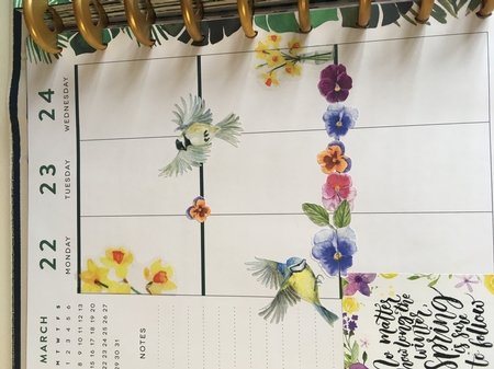 Watercolor Pansies & Birds Cut-Outs by Jane Amber
