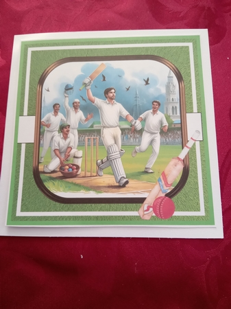 8 DIFFERENT CRICKET PLAYERS by Janene Francis