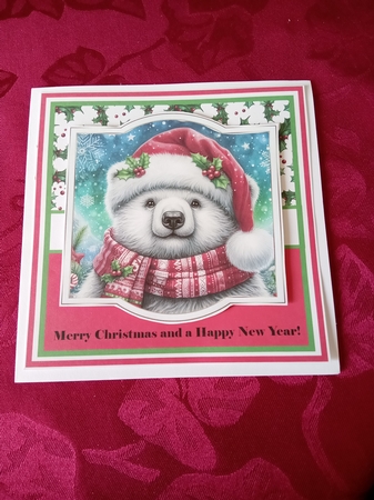 10 Polar bear and penguin backgrounds kit(jpeg) by Janene Francis
