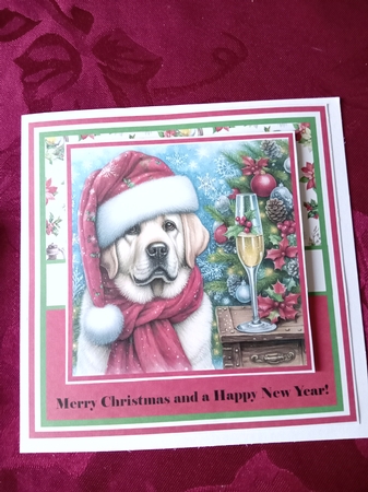 10 Christmas dogs with champagne backgrounds set 1(png) by Janene Francis