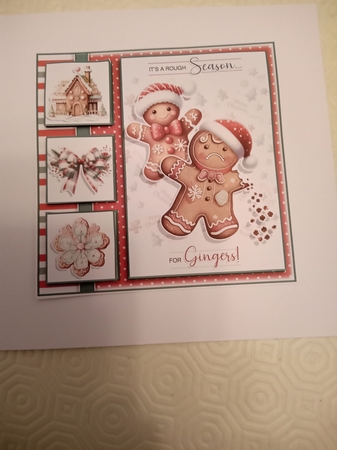 Its A Rough Season For Gingers! by Janene Francis